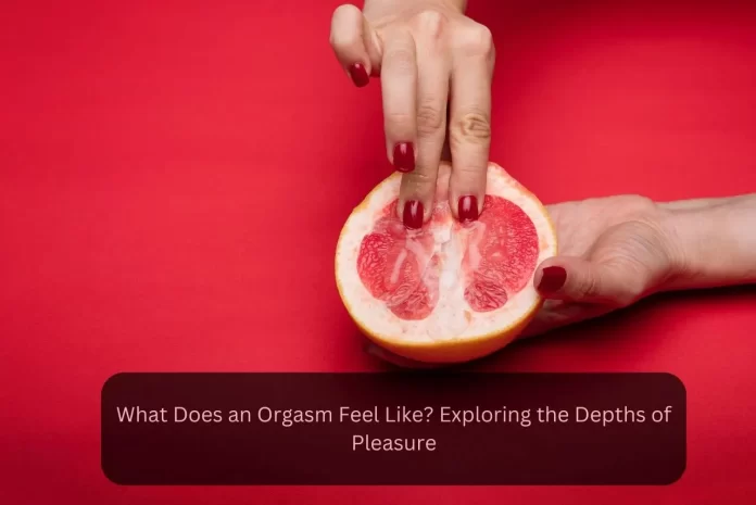 orgasm